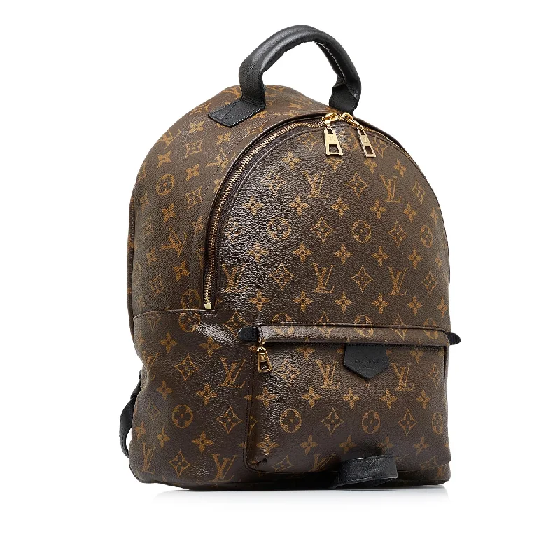 Louis Vuitton Monogram Palm Springs MM (EEtM0b)