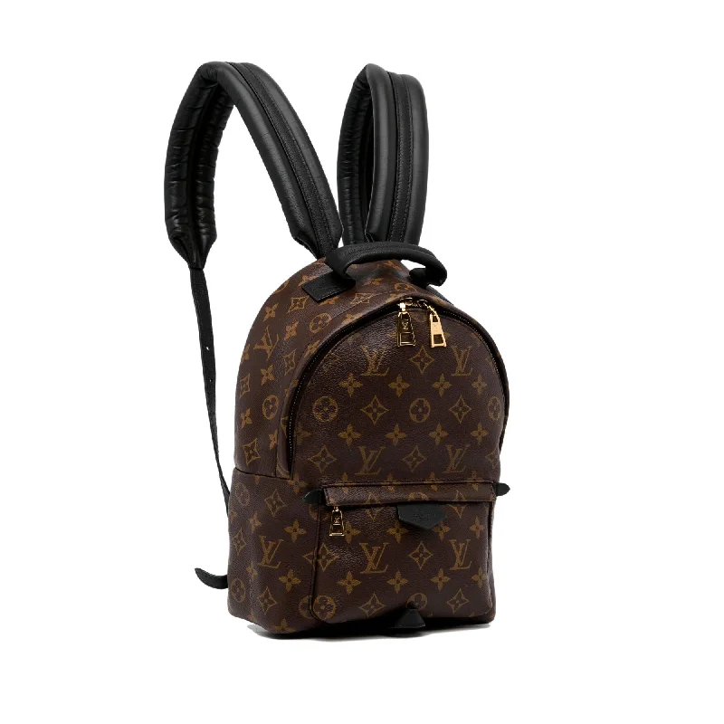 Louis Vuitton Monogram Palm Springs PM (Y129BK)