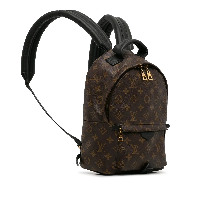 Louis Vuitton Monogram Palm Springs PM (t4LKWY)