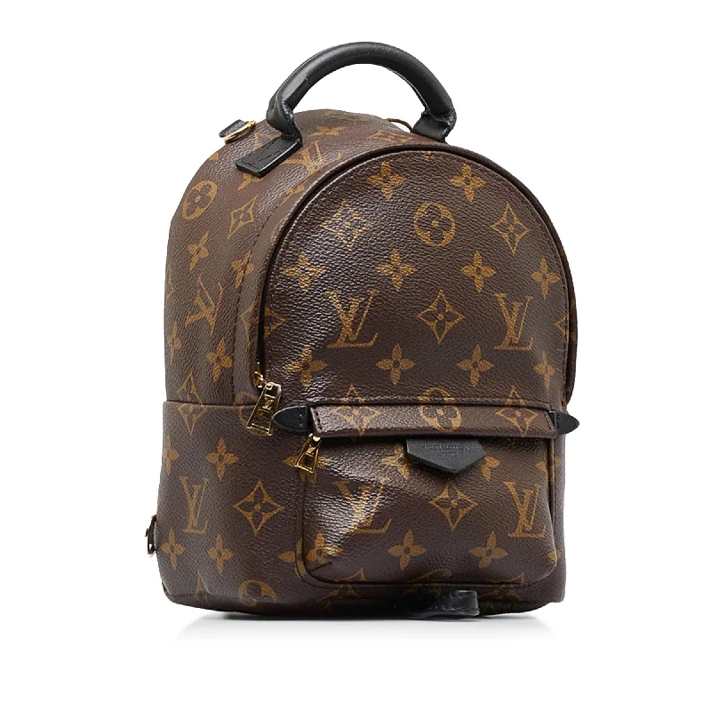 Louis Vuitton Monogram Palm Springs Mini (2nZ70X)