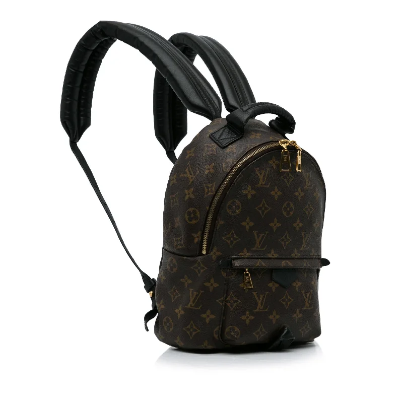 Louis Vuitton Monogram Palm Springs PM (b2hE1P)